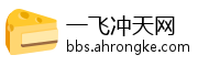 一飞冲天网